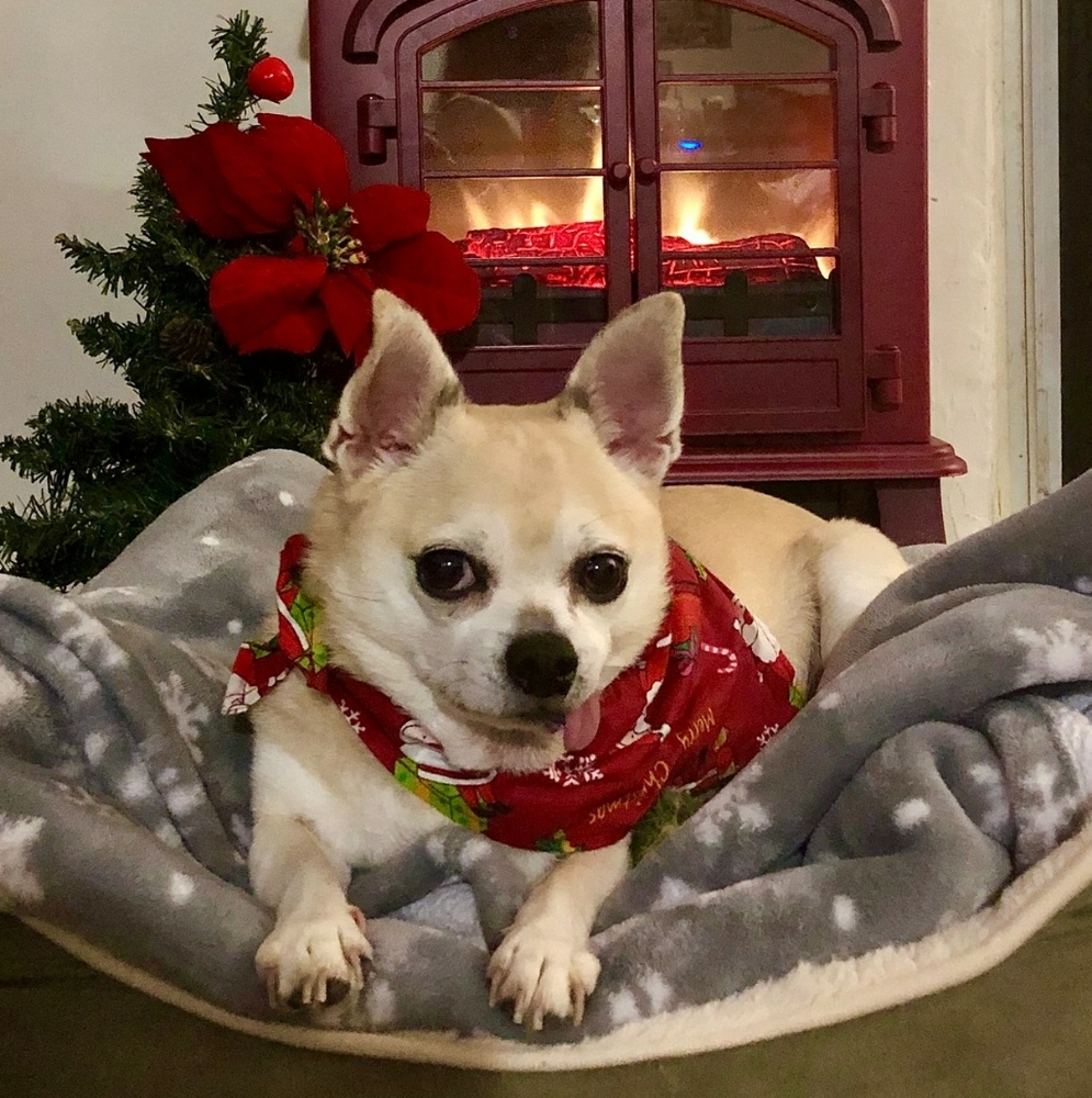 🎄🎈Accepting offers for holiday shoppers! 🎄❤️😁